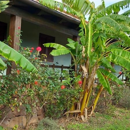Agriturismo Su Tiresi Cala Gonone Ngoại thất bức ảnh