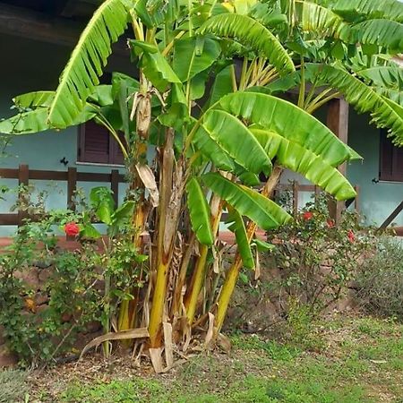 Agriturismo Su Tiresi Cala Gonone Ngoại thất bức ảnh