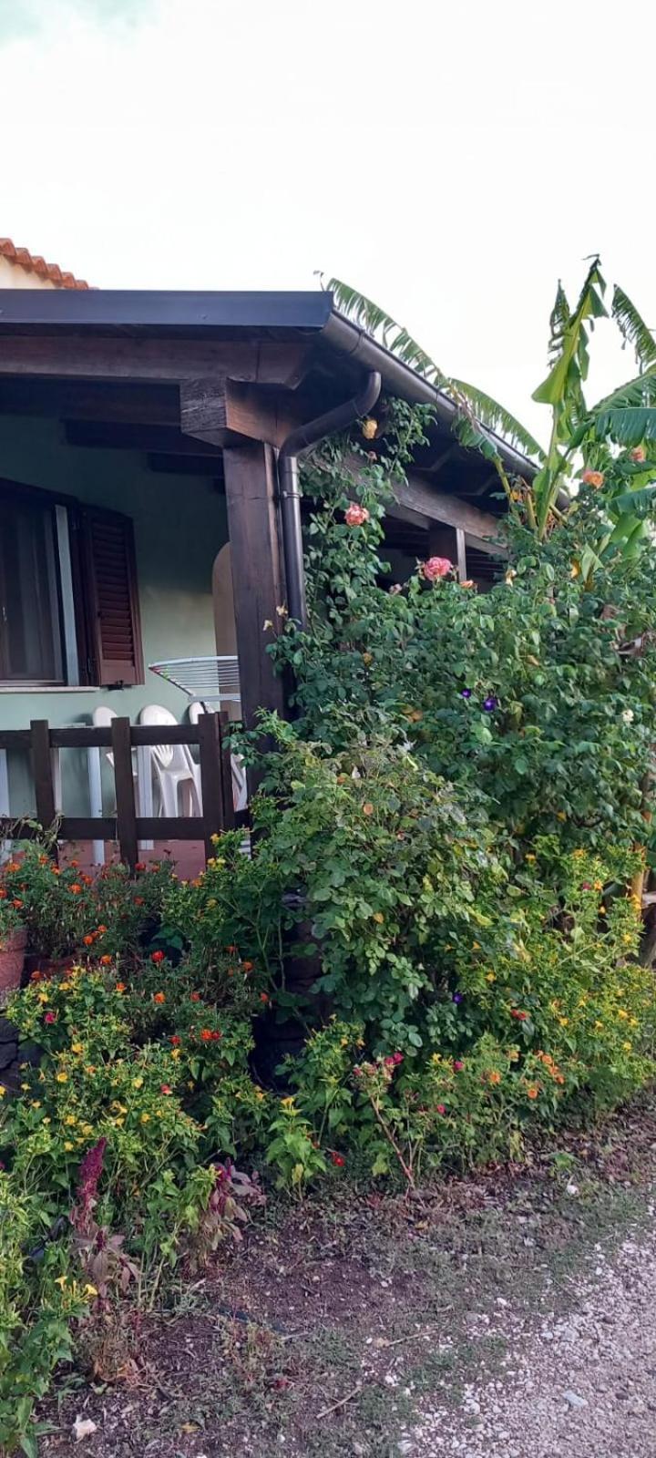 Agriturismo Su Tiresi Cala Gonone Ngoại thất bức ảnh
