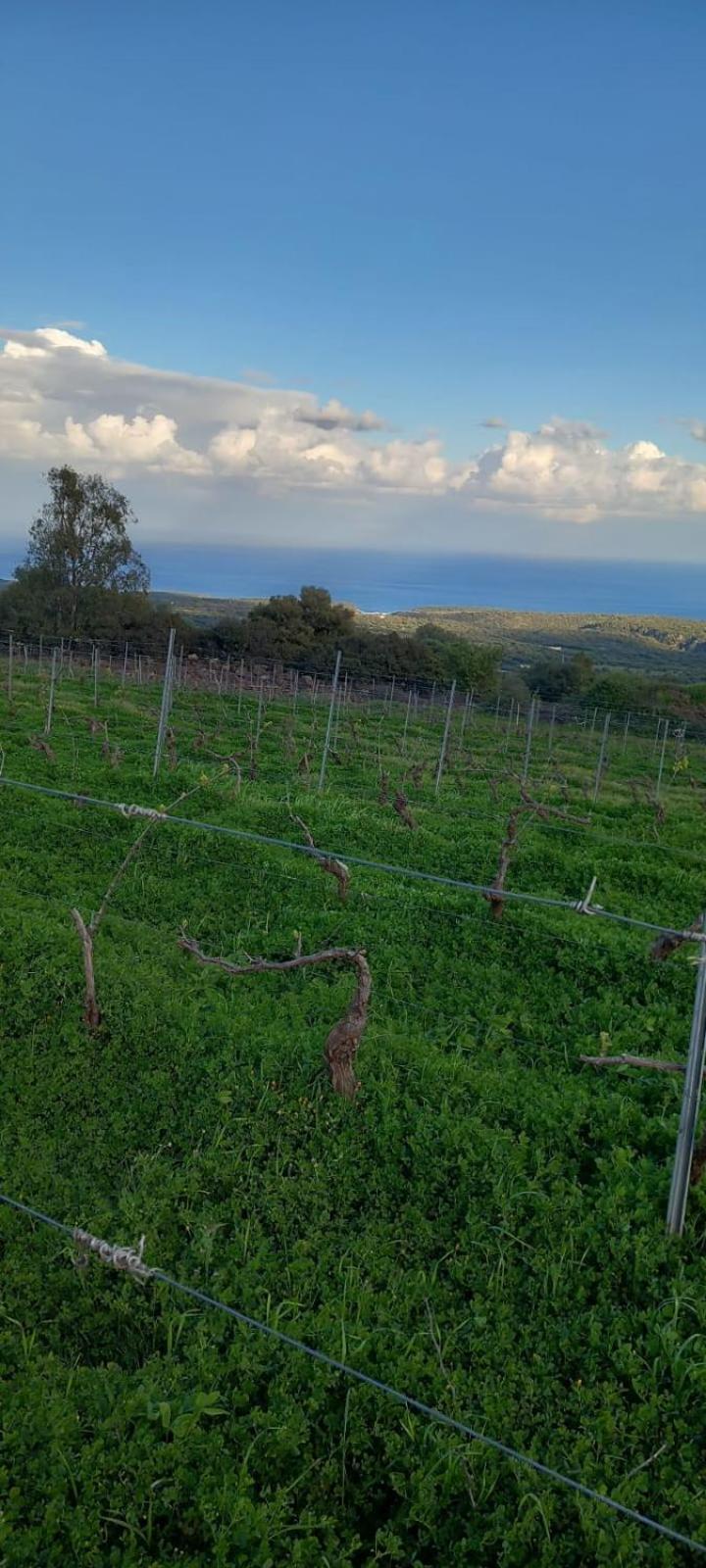 Agriturismo Su Tiresi Cala Gonone Ngoại thất bức ảnh
