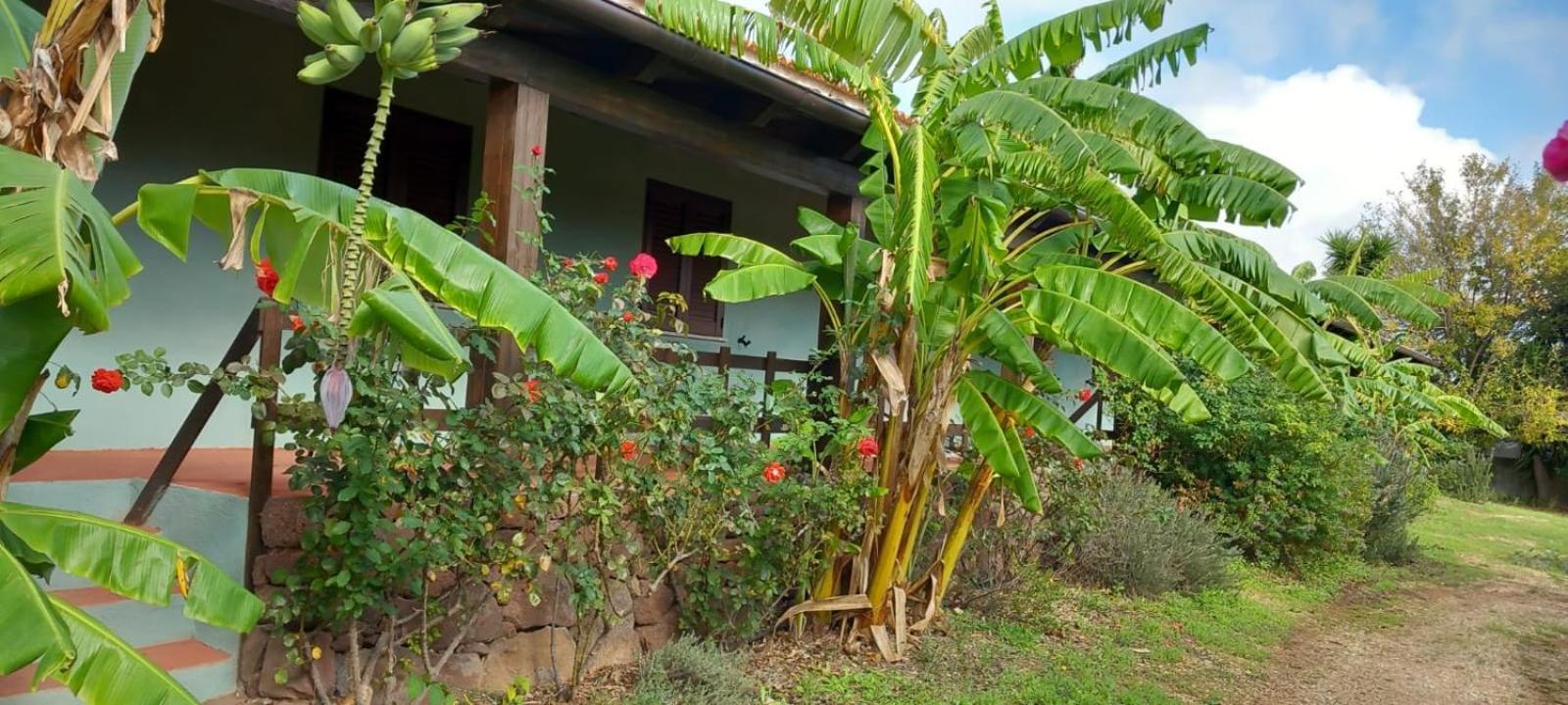 Agriturismo Su Tiresi Cala Gonone Ngoại thất bức ảnh