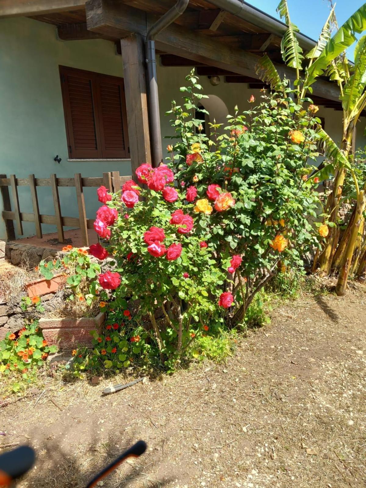Agriturismo Su Tiresi Cala Gonone Ngoại thất bức ảnh