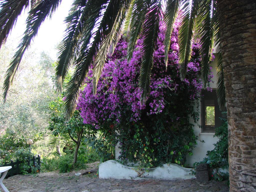 Agriturismo Su Tiresi Cala Gonone Ngoại thất bức ảnh
