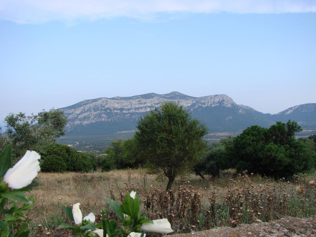 Agriturismo Su Tiresi Cala Gonone Ngoại thất bức ảnh