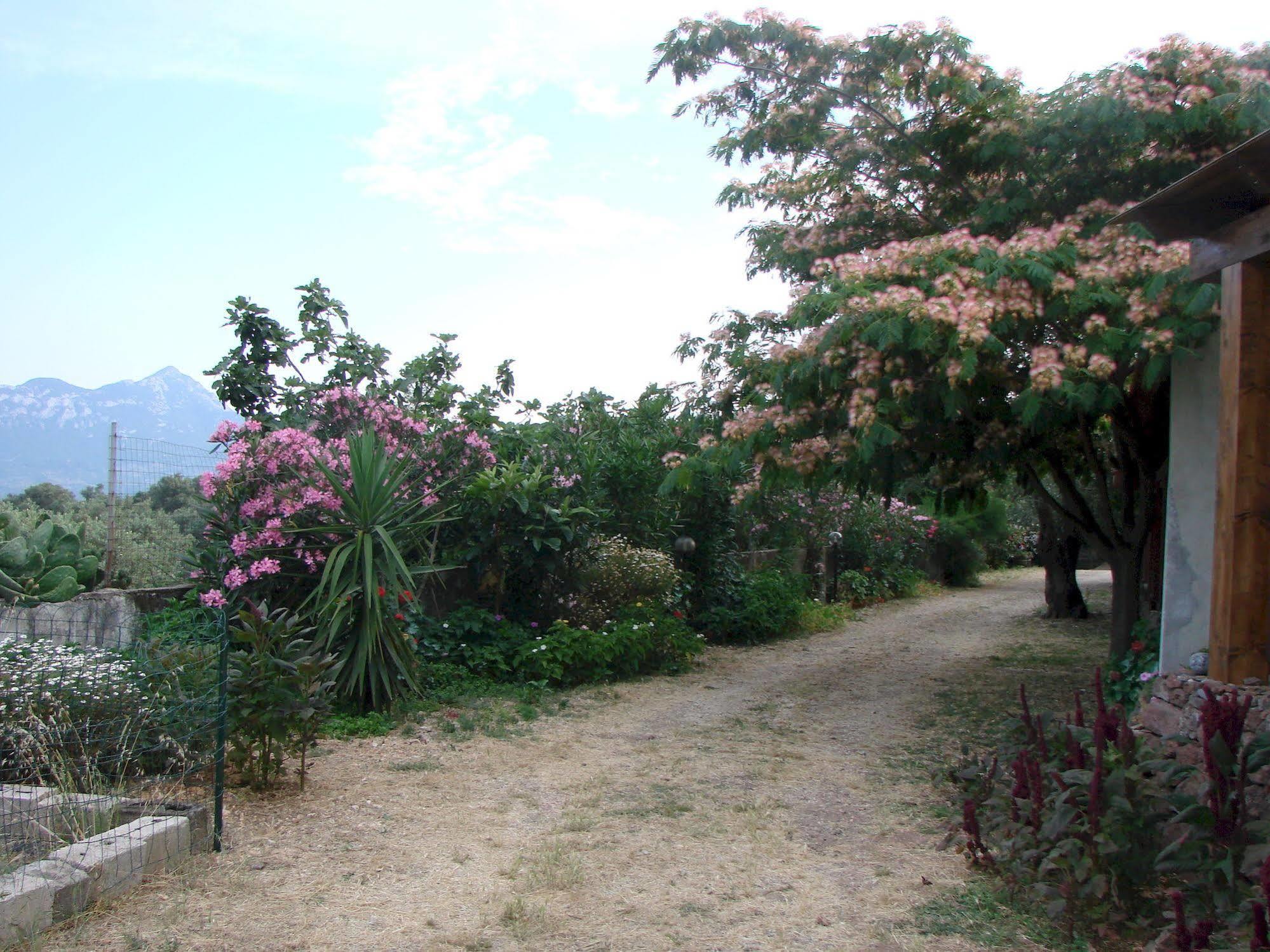 Agriturismo Su Tiresi Cala Gonone Ngoại thất bức ảnh
