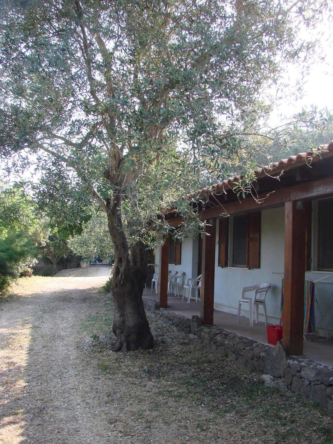 Agriturismo Su Tiresi Cala Gonone Ngoại thất bức ảnh