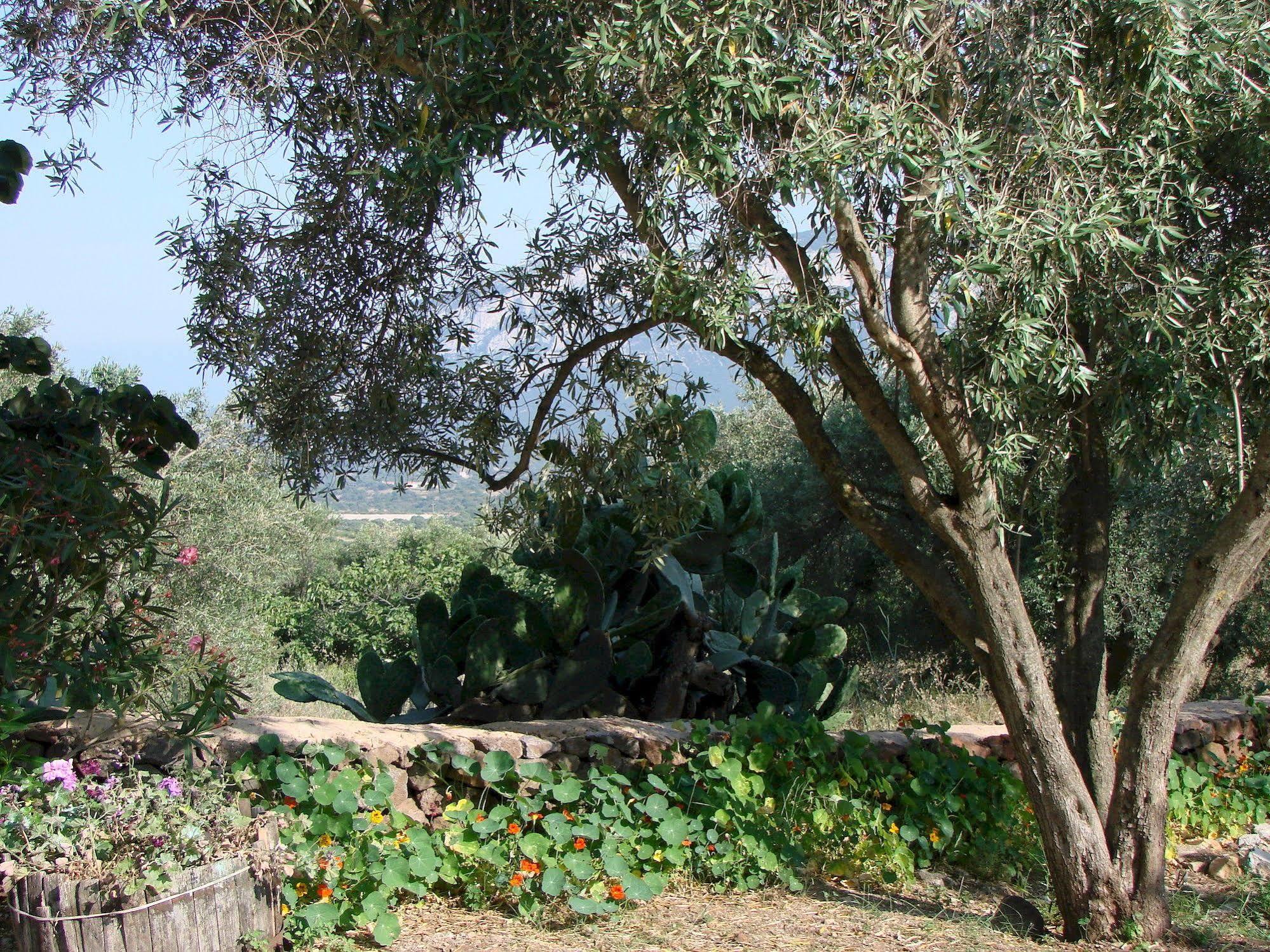 Agriturismo Su Tiresi Cala Gonone Ngoại thất bức ảnh