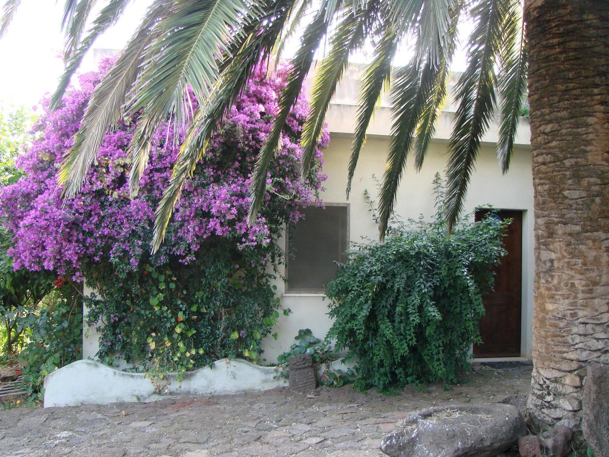 Agriturismo Su Tiresi Cala Gonone Ngoại thất bức ảnh