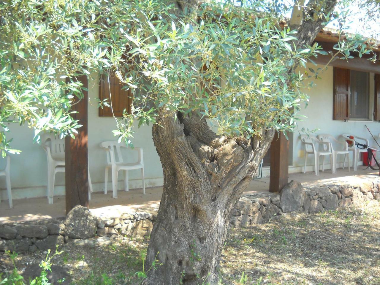 Agriturismo Su Tiresi Cala Gonone Ngoại thất bức ảnh