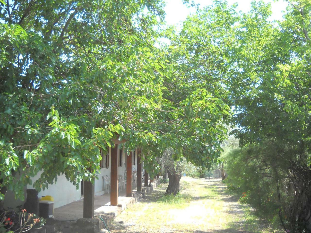 Agriturismo Su Tiresi Cala Gonone Ngoại thất bức ảnh
