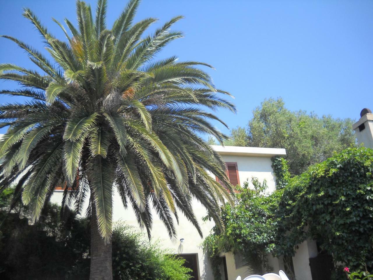Agriturismo Su Tiresi Cala Gonone Ngoại thất bức ảnh