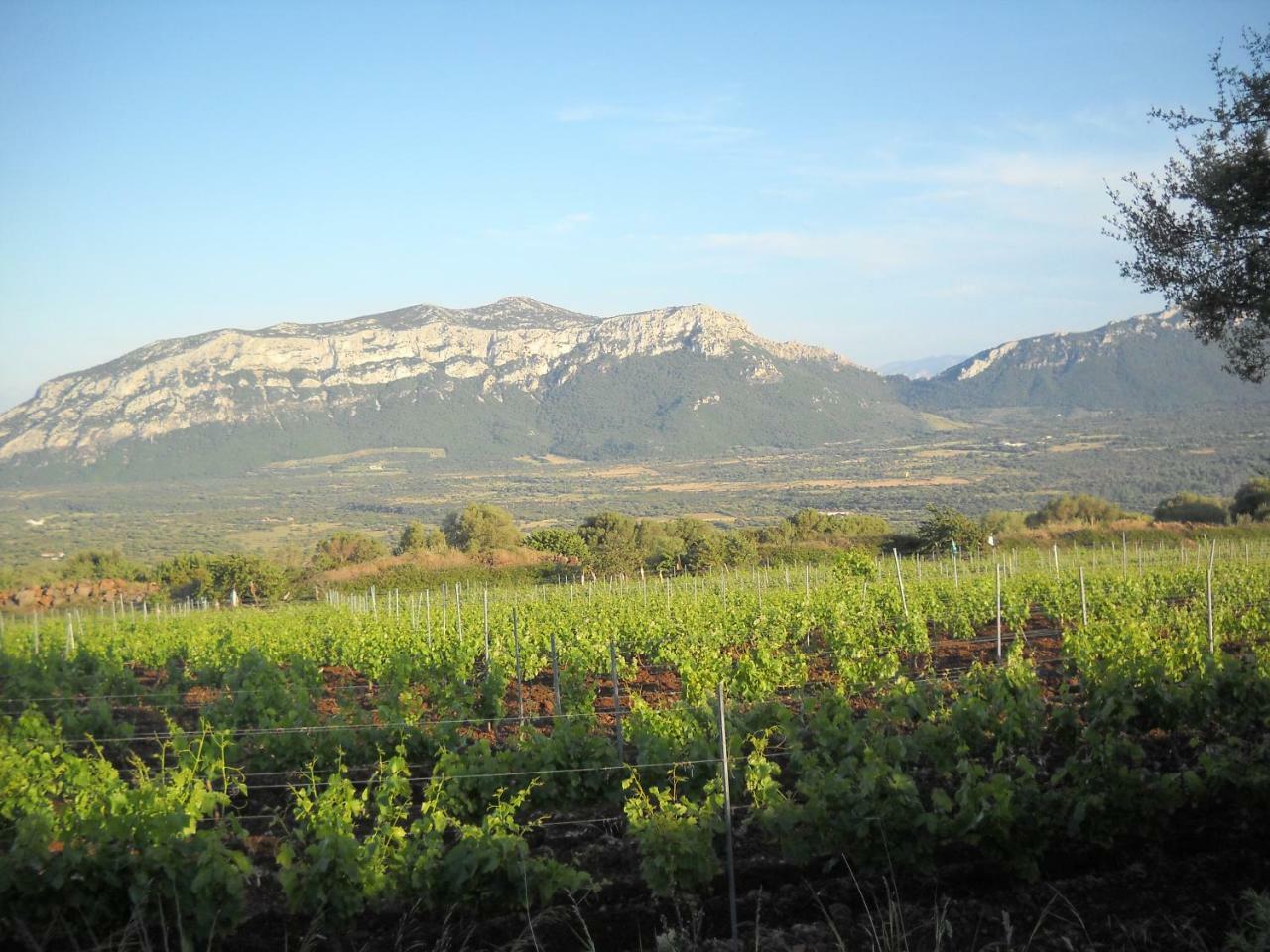 Agriturismo Su Tiresi Cala Gonone Ngoại thất bức ảnh